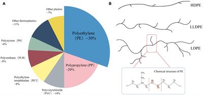 Assembly strategies for polyethylene-degrading microbial consortia based on the combination of omics tools and the “Plastisphere”